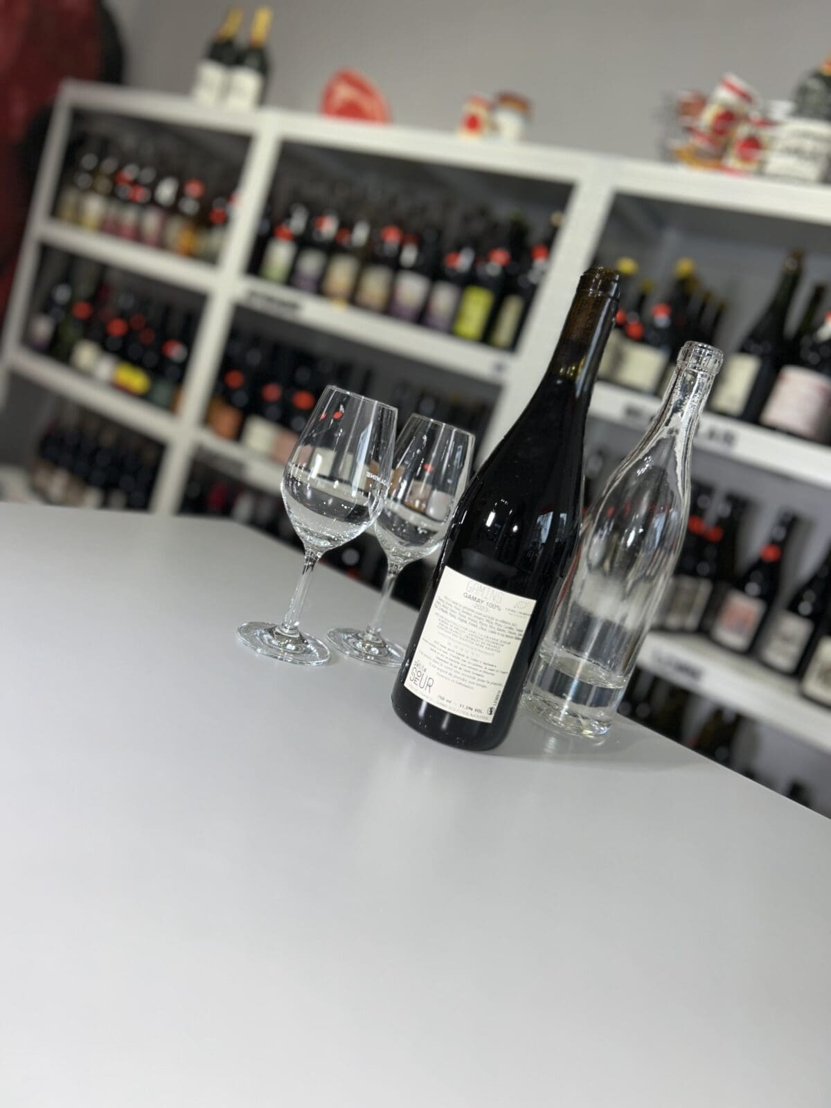 Gamins 2023 - Domaine de la Petite Sœur - Image 2